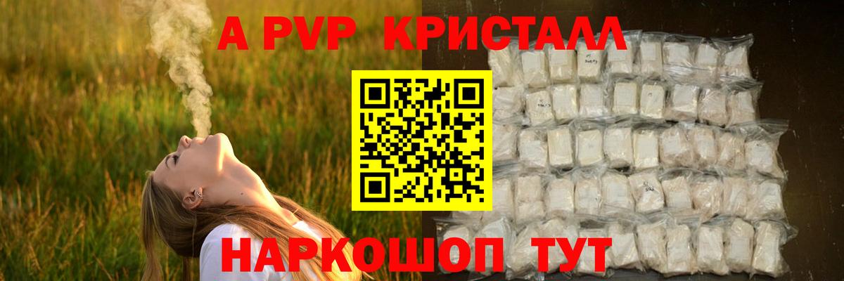 Alfa_PVP СК Кузнецк