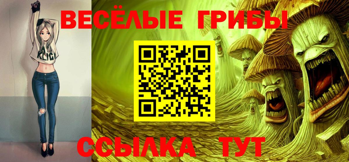 Псилоцибиновые грибы мухоморы Кузнецк